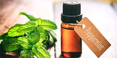 Peppermint oil uses and benefits to try now for beauty, health and home